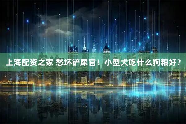 上海配资之家 愁坏铲屎官！小型犬吃什么狗粮好？